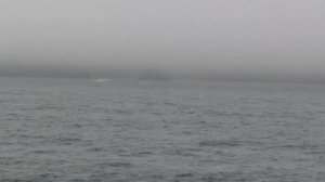 Экспедиция "Российские острова"