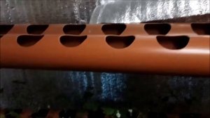 Клубника в гараже ,посадка в трубы