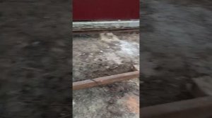 Бытовка своими руками. Каркас