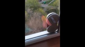 Hobot 188. Тест робота для мойки окон!