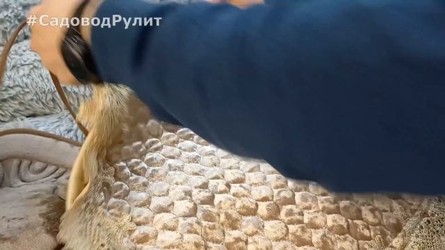 ШИКАРНЫЙ ДОМАШНИЙ ТЕКСТИЛЬ ? ПОСТЕЛЬНОЕ БЕЛЬЕ✨ПЛЕДЫ✨ПОДУШКИ✨ ПОКРЫВАЛА ✨Рынок Садовод Москва смотреть онлайн