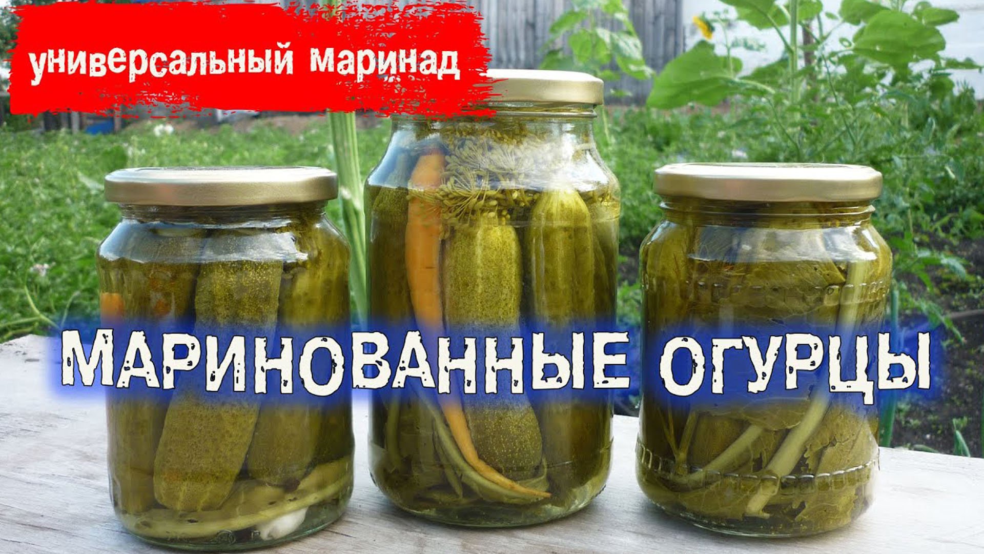 Хрустящие маринованные огурцы на зиму и универсальный маринад