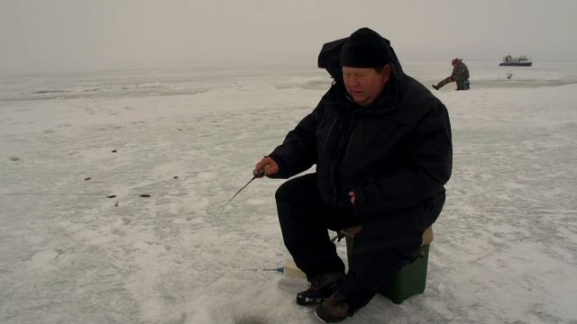 В гостях у Базы 