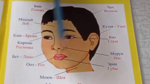 Развитие речи для детей.