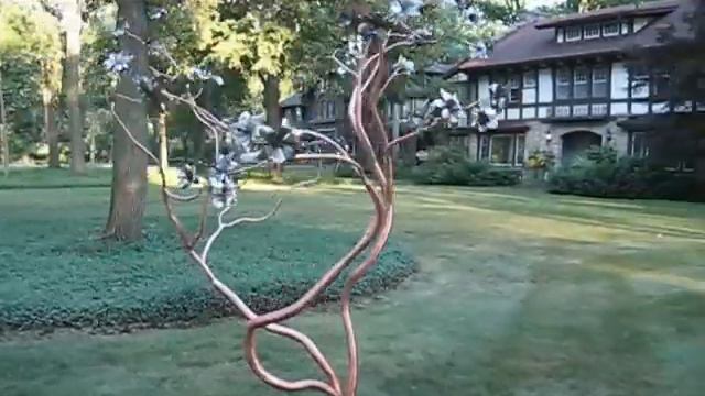 Copper Magnolia Tree смотреть онлайн