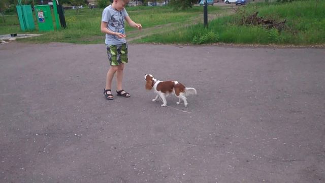 Максим и Денди . июнь смотреть онлайн