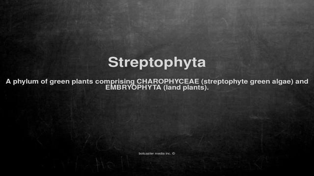 Medical vocabulary: What does Streptophyta mean смотреть онлайн