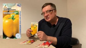 Обзор сибирских перцев