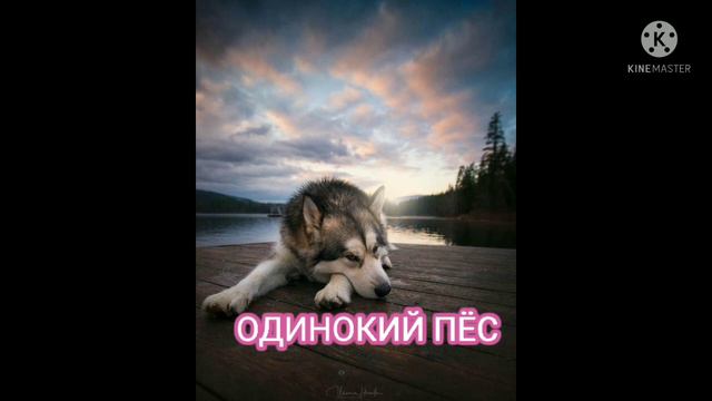 Душа поёт Одинокий Пёс смотреть онлайн