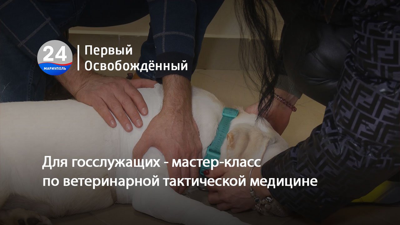 Для госслужащих - мастер-класс по ветеринарной тактической медицине. 26.10.2023
