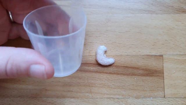 HOW I FEED MY ANEMONE - STEP BY STEP GUIDE смотреть онлайн