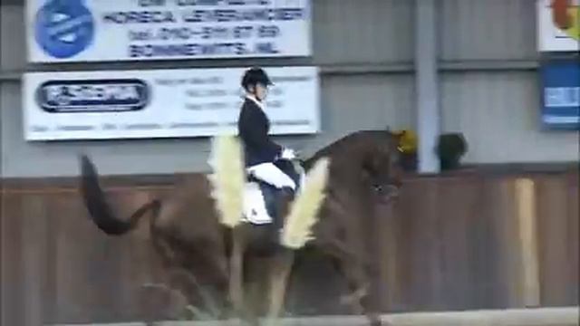 Bollenhoeve's Felistrade ( v. Uphill ) VWF Dressuur 2013 смотреть онлайн