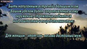 К чему снится Собака сонник, толкование сна