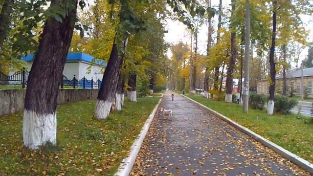 Динас,Первоуральск