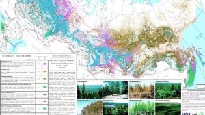 Тайна лесов сибири, скрывающая катастрофу 19 века.