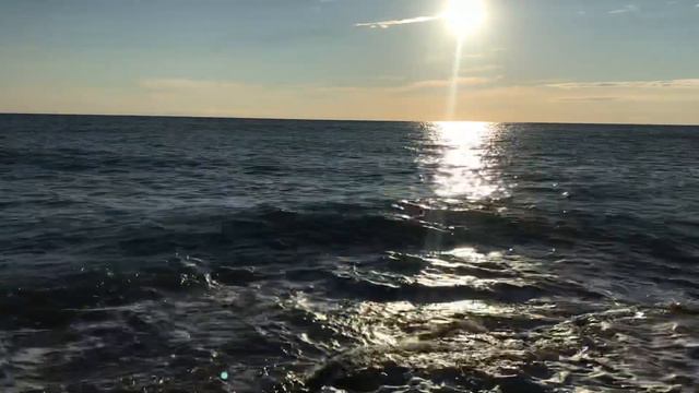 Живет душа молчальница. смотреть онлайн