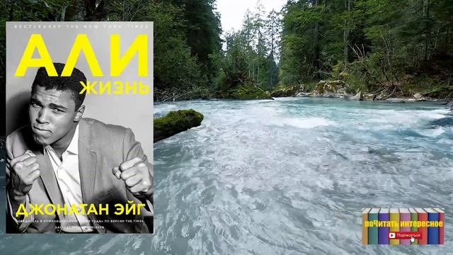 Книга: Джонатан Эйг - Али, Жизнь. Часть 1 смотреть онлайн