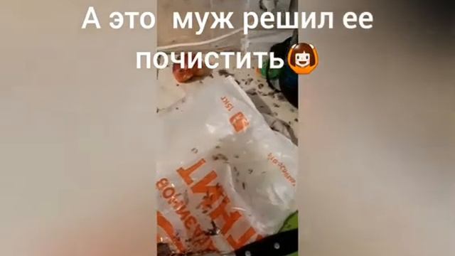 Как надо чистить рыбу :) смотреть онлайн