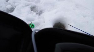 Пример работы эхолота ПРАКТИК ЭР-6 pro