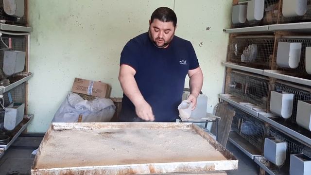 Уборка крольчатника смотреть онлайн