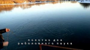 Сете Полотно для рыболовного паука-подъёмника 2 на 2 метра, ячейка
40мм,