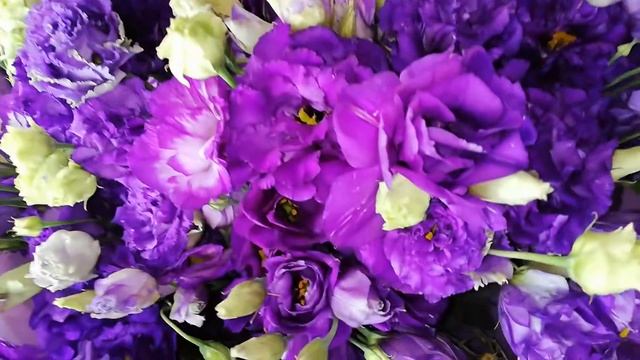 ДИКАЯ РОЗА ЭУСТОМА СИРЕНЕВАЯ БУКЕТ С ЛИЗИАНТУСАМИ БУКЕТ С ФЕОЛЕТОВЫМИ ЭУСТОМАМИ смотреть онлайн