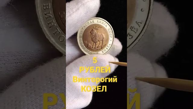 КРАСНАЯ КНИГА ВИНТОРОГИЙ КОЗЕЛ смотреть онлайн
