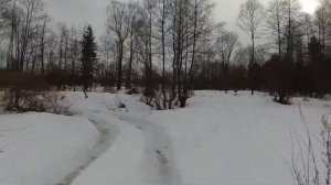 Заброшенная деревня в живописном месте. Деревня Новиковка.