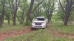 Prado 150 диагоналка