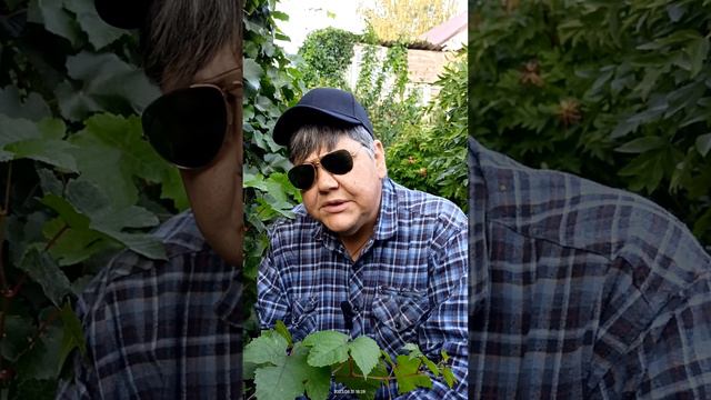 Поэт был слеп