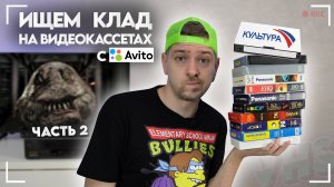 Ищем КЛАД на старых видеокассетах! VHS с Авито! #2