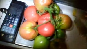 ТОМАТ СЕРДЦЕ БУЙВОЛА