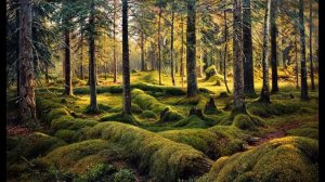 Картины Шишкина.mp4