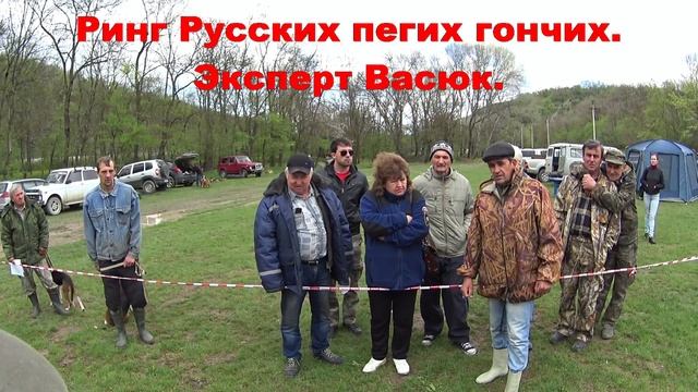 Новороссийская выставка охотничьих собак 2016 года. смотреть онлайн