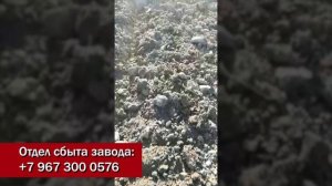 Борона дисковая БД 3,2х4П отзыв фермера-работа в поле