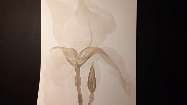 Гризайль #Гризайль #Акварель смотреть онлайн