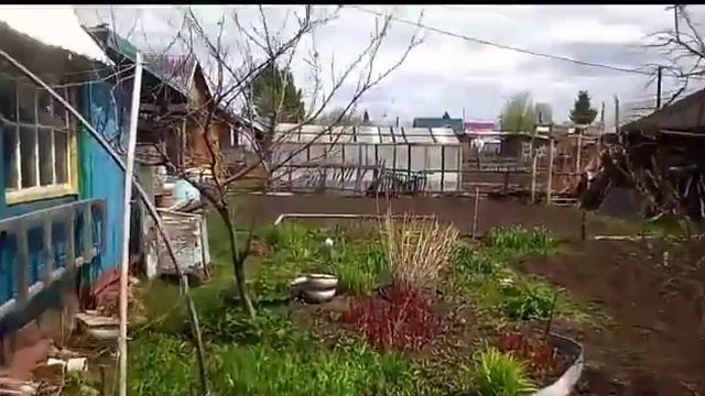 Дача 16 мая 2018. смотреть онлайн