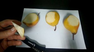 Сравнение груш Васса Золотистая Яблунивская