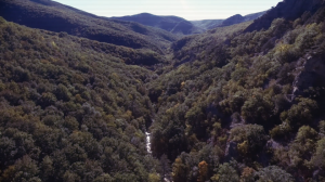 Божья сила, Божья благодать