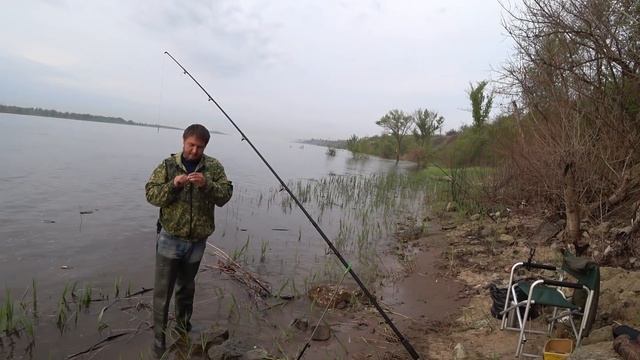 Весенняя Рыбалка с Берега на Реке Волге Ловля Голавля на Донку Фидер