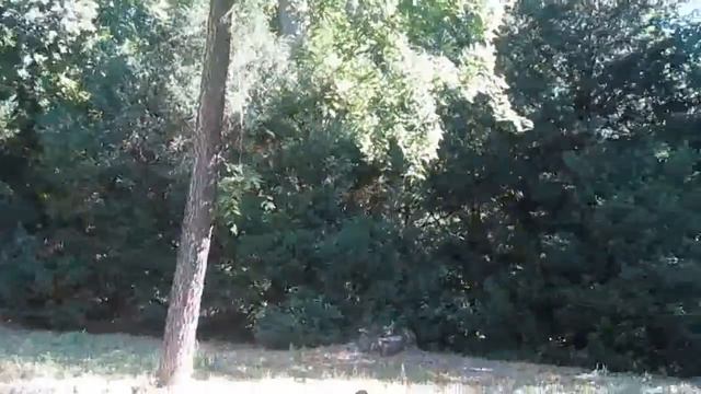 ДАЙ МНЕ СИЛЫ МИР ПРЕКРАСНЫЙ смотреть онлайн