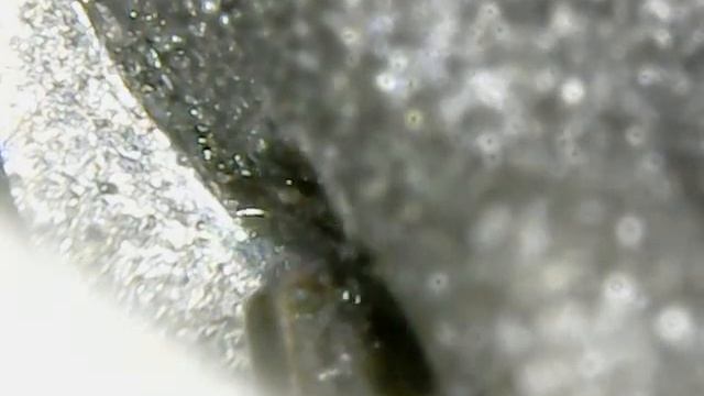 Пайка контакта датчика температуры вебасто под микроскопом смотреть онлайн