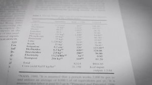 Проблема с биотопливом