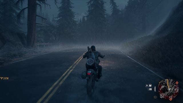 Days Gone 16