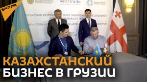 Казахстан поможет Грузии избежать продуктового дефицита