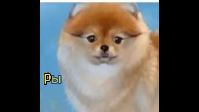 какая ты сабака па знаку задиака смотреть онлайн