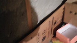 Збор картона , выгодно ли собирать картон на легковом автомобиле?