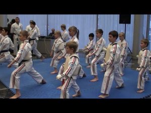 Федерация Косики каратэ России. Показательное выступление. (кумитэ, ката, тамешивари)