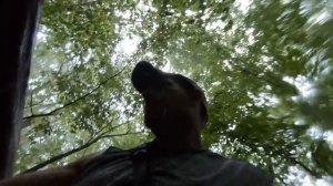 hammock camping in heavy storms with my dog