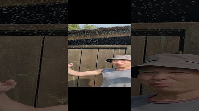 1000042398.mp4